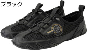 y20%OFFN[|`z[t@[ Y vC amC Xb| hCrOV[Y JWAV[Y EH[LOV[Y rWlX ʋ _炩 ʋC JV Vv 