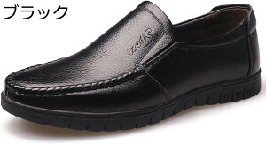 y20%OFFN[|zYXb| [t@[ hCrOV[Y Vv n y JWA  ItBX K _炩 h Ȃ x[VbN ʊw ʋ  