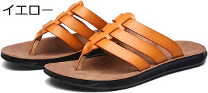 y20%OFFN[|`zr[`T_ @t Y OAXgbv҂ v gOT_ ėp RtH[g ItBX Xbp rWlX Xgbv  _炩 p JWA ʋC