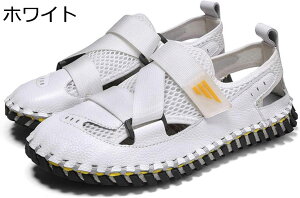 y20%OFFN[|`zAEghAT_ Y t@bVT_  xN EH[^[V[Y p  傫TCY  y  É Ȃ oR Cp V J