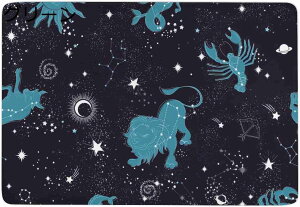 y20%OFFN[|`zXbp oXXbp fB[X T}[Xbp Jbv 傫TCY ؍ n Vv _炩 3cm\[ [V[Y ւ y ~ É 