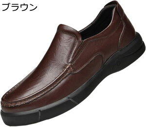 y20%OFFN[|zhCrOV[Y Y [t@[ Xb| X[X JV rWlXV[Y amC ]C JWAV[Y h y TCY ʋΒʊw i fC