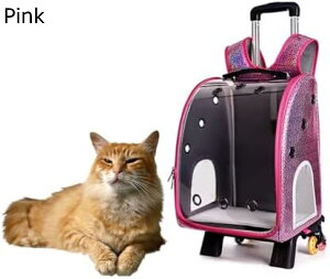 y20%OFFN[|`zԗ֕tybgbN Lkg[tybgobO LbgobO pobO O\ȃg[X^h Lpg[P[X ʋC U s a@ h