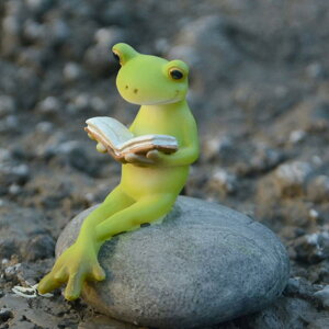 y20%OFFN[|zb  JGƒ CeAIuWF  a JG u }XRbg fBXvC Freesize j ANZg ^F ԂJG {ǂރJG 