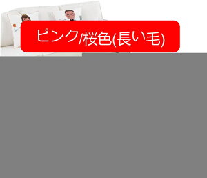 y20%OFFN[|`zJ[ybg rO[ R[q[e[u J[ybgt@bV p[\ieB OwA 􂦂xbh[ xCEBhEJ[ybg O[ O}bg 