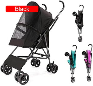 y20%OFFN[|`zp xr[J[ ^p ybgpLpxr[J[P\gxLApxr[J[^pxr[J[ALpybgpxr[J[pxr[J[q?qL