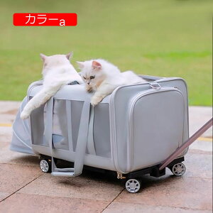 y20%OFFN[|`zybgJ[g ybgpxr[J[ ̃xr[J[ L̃xr[J[ g\ȃzC[t[OybgLAApgxobO ^LpLA ʋC 