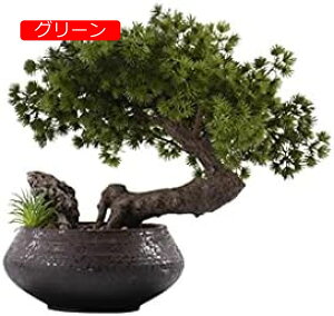 y20%OFFN[|zlHϗtA lH̖؂̋Sn̗ǂ̖؂̖~͂̑iT̋U̐A~̓|[`}CNi΂̐AfXNgbv̔A̐A lH~