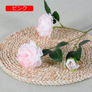 y20%OFFN[|zỎ  ͂Ȃ V~[V 蕨̉ ԑ CeA A[gt[ VN  X iX  p[eB[ Cxg   Mtg 