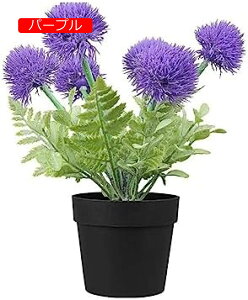 y20%OFFN[|zlHA^||V~[Vt[vX`bNAgݍ킹fXNgbvvX`bNt[ԃV~[V~̓rbObh