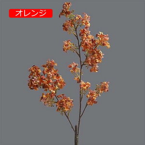 y20%OFFN[|z4{ CbN  CeA k  tFCNt[ A ԑ sN A[eBtBVt[ X^CbV { 蕨 v[g ̓ 