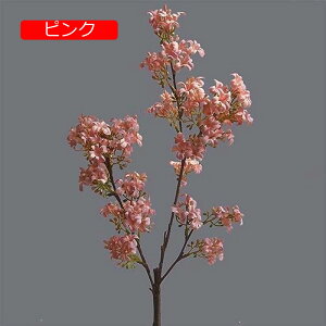 y20%OFFN[|z4{ CbN  CeA k  tFCNt[ A ԑ sN A[eBtBVt[ X^CbV { 蕨 v[g ̓ 