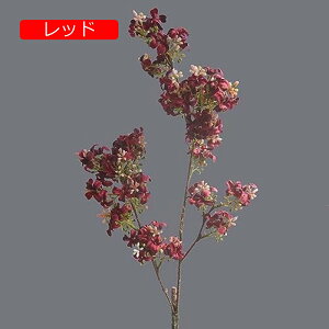 y20%OFFN[|z4{ CbN  CeA k  tFCNt[ A ԑ sN A[eBtBVt[ X^CbV { 蕨 v[g ̓ 