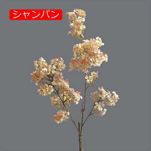 y20%OFFN[|z4{ CbN  CeA k  tFCNt[ A ԑ sN A[eBtBVt[ X^CbV { 蕨 v[g ̓ 