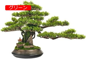 y20%OFFN[|zp̐lHϗtA 28 ''V~[VÂ悤}C}CNi΂̐A~͔Ãz[ItBXrO[ze|[`̑ U