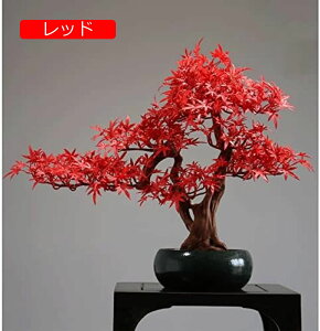 y20%OFFN[|zlH~̖͂ lH~̖͂ A̐Ȃi ~̓V~[V ~͗΂̐A U̐Ȃ A̐lHϗtA fXNp z[ItBXfBXvCV~