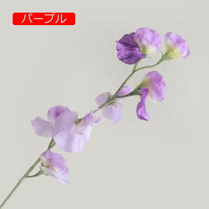 y20%OFFN[|z10{  XC[gs[ tFCNt[ A k  CeA A[eBtBVt[ ԑ }[^ { X^CbV 蕨 v[g 