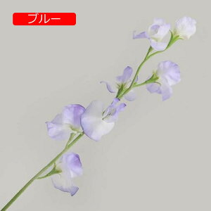 y20%OFFN[|z10{  XC[gs[ tFCNt[ A k  CeA A[eBtBVt[ ԑ }[^ { X^CbV 蕨 v[g 