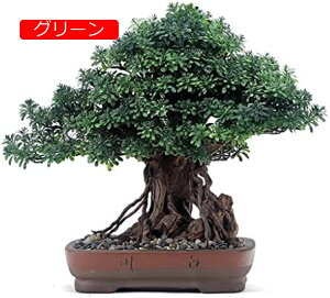 y20%OFFN[|zlHϗtA ̃z[ItBX|[`̑̂߂̐A̐Ȃ̔A̐lH̏i23.6 x 19.69inj lH~