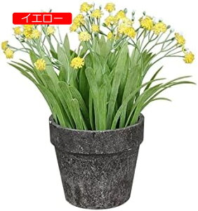 y20%OFFN[|zlHAJX~\E{[pvAgݍ킹fXNgbvlHAvX`bNt[O[vgԃV~[V~́AO[CG[