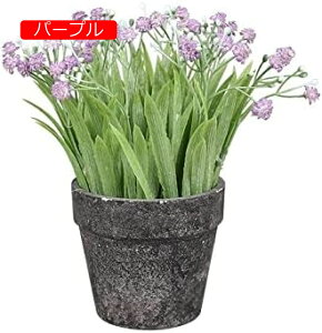 y20%OFFN[|zlHAJX~\E{[pvAgݍ킹fXNgbvlHAvX`bNt[O[vgԃV~[V~́AO[CG[