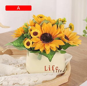 y20%OFFN[|z CeA Ђ܂ ԑ ϗtA u[P A ~ ͂Ȃ Ђ܂ ԃO[ u ʐ^Be  LO  ԕrt a  Ԍ|p v