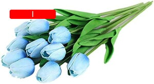 y20%OFFN[|z10{Zbg  `[bv  A[gt[ u[P ԑ ̓ ԃMtg ͂Ȃ ʐ^Be j v[g CeA 