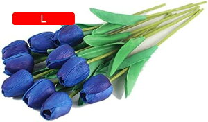 y20%OFFN[|z10{Zbg  `[bv  A[gt[ u[P ԑ ̓ ԃMtg ͂Ȃ ʐ^Be j v[g CeA 