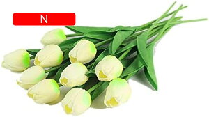 y20%OFFN[|z10{Zbg  `[bv  A[gt[ u[P ԑ ̓ ԃMtg ͂Ȃ ʐ^Be j v[g CeA 