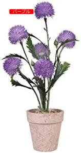 y20%OFFN[|`ztFCNϗtAXv[yCg^||lHAz[V~[VAAe[ugbvܑ΃pv~́AXv[p[v