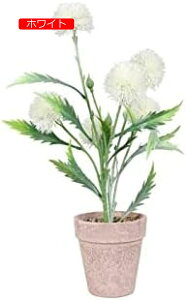 y20%OFFN[|`ztFCNϗtAXv[yCg^||lHAz[V~[VAAe[ugbvܑ΃pv~́AXv[p[v