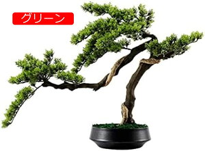 y20%OFFN[|zlHϗtA lHc[~̓rO[V~[V}c̖؂̓̐AؔVvȕ͋C̃z[ItBX̌ lH~