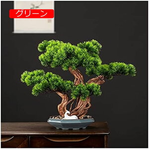 y20%OFFN[|zU̐A/lH 15C`̔w̍lHIȏ̖~́AGgX̃rO[̃zȇ̐Â߂̐V̑Iȗ΂̋U̖؂̔A̐A