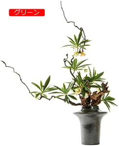 y20%OFFN[|zp̐lHϗtA lH~̖͂ؐṼV~[VΐFA~̖͂؃z[rO[ItBXfXNgbvlHU̖؃Z~bNԕr U̐A