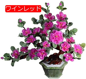 y20%OFFN[|zlHϗtA lH~͉ỎԃV~[VA̐ȂIȖ~́Az[ItBX̉̑̂߂Ő̒̉O̔A̐A lH~