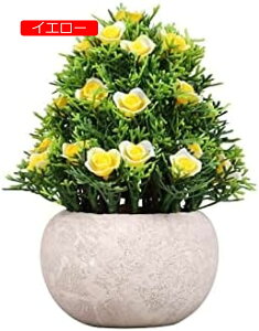 y20%OFFN[|zlHϗtAWX~^[c[{[pvAARrl[VfXNgbvlHAAvX`bNt[O[vgtFCNt[V~