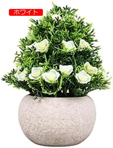 y20%OFFN[|zlHϗtAWX~^[c[{[pvAARrl[VfXNgbvlHAAvX`bNt[O[vgtFCNt[V~