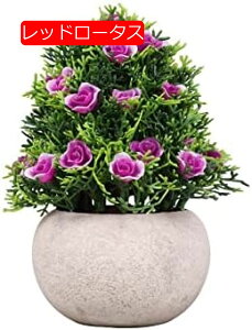 y20%OFFN[|zlHϗtAWX~^[c[{[pvAARrl[VfXNgbvlHAAvX`bNt[O[vgtFCNt[V~