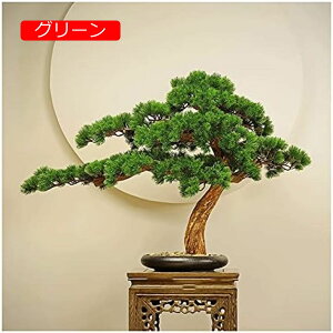 y20%OFFN[|zlHϗtA lH~̖͂̏؁A21C`̃tFCN̔A̐AAU̖؂̓̑i̖~͐AQAXg lH~