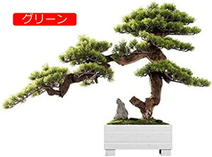 y20%OFFN[|zlHϗtA lH΂̐A̖~͂̐lHۂ̐΂̑VR[̗΂̗t̉Ƃ̋ԂƃItBX̃fXNgbv̑ lH~