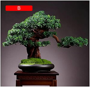 y20%OFFN[|zlH lHϗt V~[Vc[V~[V}~͗΂̐AAƉOlHc[~͑i 蕨