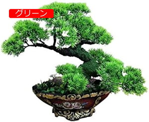 y20%OFFN[|zlHϗtA V~[Vc[ UAOK[fz[ItBXV~[Vc[lH~͔AA lH~