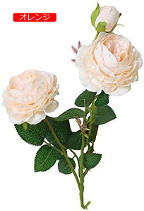 y20%OFFN[|z CeA CeAt[ a v[g  I[ig OA ԑ  lHŨEGX^[Yt[OuC_u[P̉Ƃ