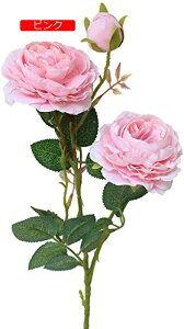 y20%OFFN[|z CeA CeAt[ a v[g  I[ig OA ԑ  lHŨEGX^[Yt[OuC_u[P̉Ƃ