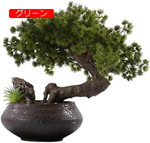 y20%OFFN[|zlHϗtA ̃EFJ}c̖ؖ~͂̑iȔȀ̖؂̑z[ItBXrO[eB[e[ulHA̐AAg16 ' lH~
