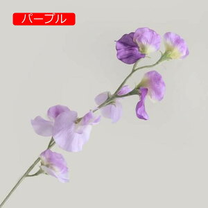 y20%OFFN[|z XC[gs[ 10{ tFCNt[ A k  CeA A[eBtBVt[ ԑ sN { X^CbV 蕨 v[g  