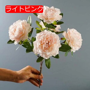 y20%OFFN[|z ԑ O tFCNt[ X^CbV 2 sN k CeA Ȃ  { A[eBtBVt[ 蕨  v[g 