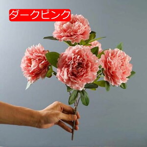 y20%OFFN[|z ԑ O tFCNt[ X^CbV 2 sN k CeA Ȃ  { A[eBtBVt[ 蕨  v[g 