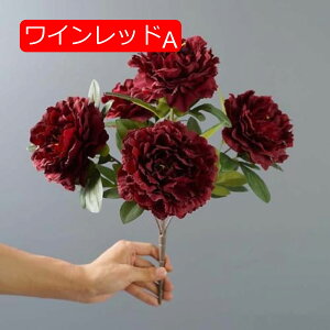 y20%OFFN[|z ԑ O tFCNt[ X^CbV 2 sN k CeA Ȃ  { A[eBtBVt[ 蕨  v[g 