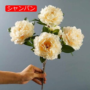 y20%OFFN[|z ԑ O tFCNt[ X^CbV 2 sN k CeA Ȃ  { A[eBtBVt[ 蕨  v[g 